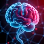 Increased Connectivity Linked To Early Dlb Symptoms 1781004281