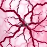 Inflammatory Complex Controls Iron Uptake And Ferroptosis 1780589187