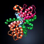 Integrative Structural And Dynamics Insights Into Egfr 1780679613