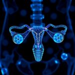 Kcnma1 Balances Calcium–Potassium To Impact Ovarian Cancer 1780716447
