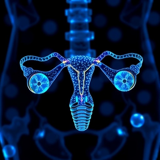Kcnma1 Balances Calcium–Potassium To Impact Ovarian Cancer 1780716447