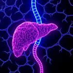 Ly6D Drives Liver Fat Through Grb2 Ampk Pathway 1782143798