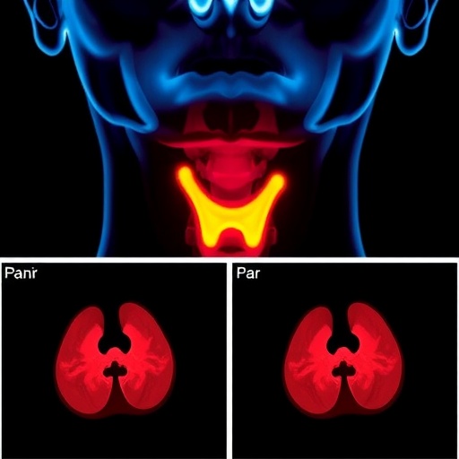 Light Based Imaging Advances Promise Enhanced Thyroid Cancer Diagnosis And Fewer Surgeries 1782326972