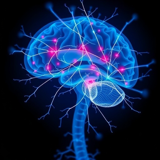 Locus Coeruleus Α Synuclein Triggers Early Parkinsons Signs 1781007933