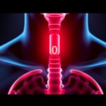 Mit Engineers Develop Targeted Drug Delivery System For The Esophagus 1781257866