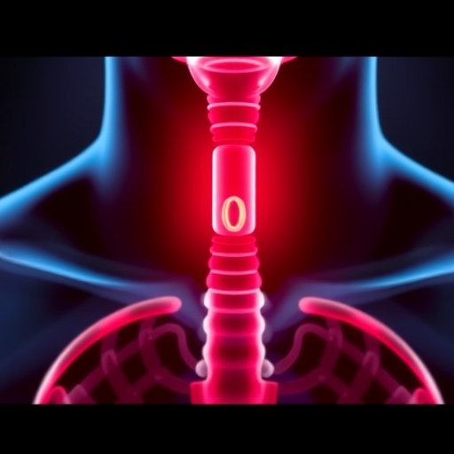 Mit Engineers Develop Targeted Drug Delivery System For The Esophagus 1781257866