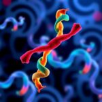 Machine Learning Powers Multi Objective Antibody Design 1781025707