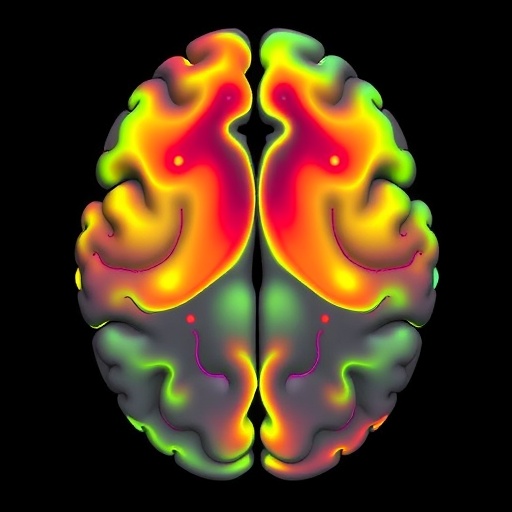 Mapping Emotional States In Basolateral Amygdala 1780499006