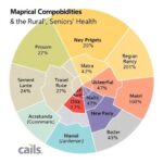 Mapping Key Comorbidities In Rural Seniors8217 Health 1781206534