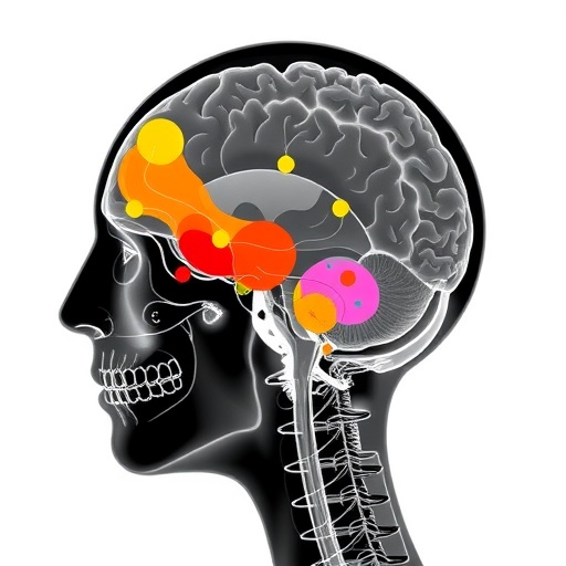 Multimodal Models Use Text For Medical Image Predictions 1781252661
