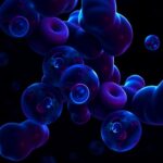 Muscle Vesicles Deliver Full Length Dystrophin Mrna 1781188051