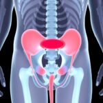 Nih Awards Grant To Advance Novel Bladder Repair Technology For Pediatric Patients 1781291011