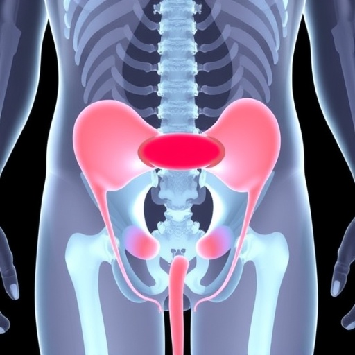 Nih Awards Grant To Advance Novel Bladder Repair Technology For Pediatric Patients 1781291011