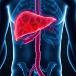 New Hormone Therapies Targeting Steatohepatitis Metabolism 1781525549