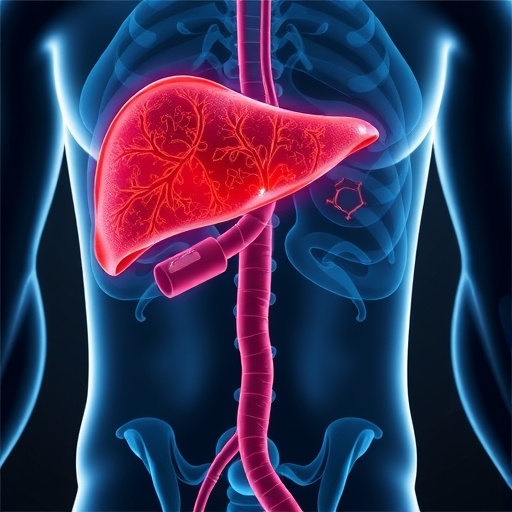 New Hormone Therapies Targeting Steatohepatitis Metabolism 1781525549