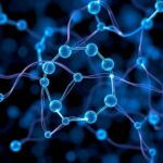 New Ratiometric Reporter Tracks Mitochondrial Sodium Levels 1782146676
