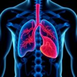 New Research Unveils Innovative Ehr Marker To Predict And Prevent Organ Rejection In Transplant Patients 1781536232