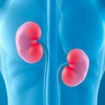New Study Links Common Blood Pressure Medication To Worsened Kidney Outcomes In Type 2 Diabetes 1780617566