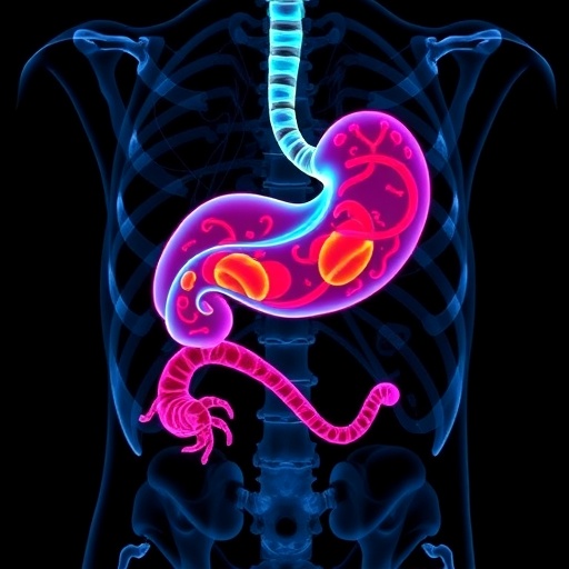 New Tomography Based Marker Advances Accuracy Of Gastric Cancer Prognosis 1781648182