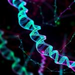 Non Viral Delivery Of Full Dmd Mrna Targets Muscles 1781206162