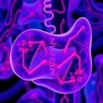 Novel Pparδ Agonist Halts Liver Fibrosis Ferroptosis 1780715606