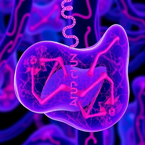Novel Pparδ Agonist Halts Liver Fibrosis Ferroptosis 1780715606