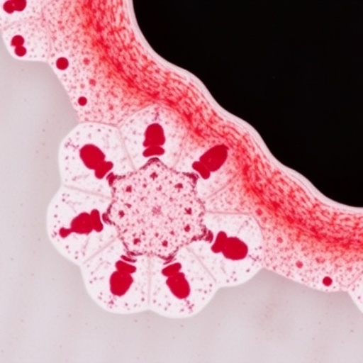 Omicron Ba.2.86 Jn.1 Broaden Intestinal Cell Tropism 1780632031