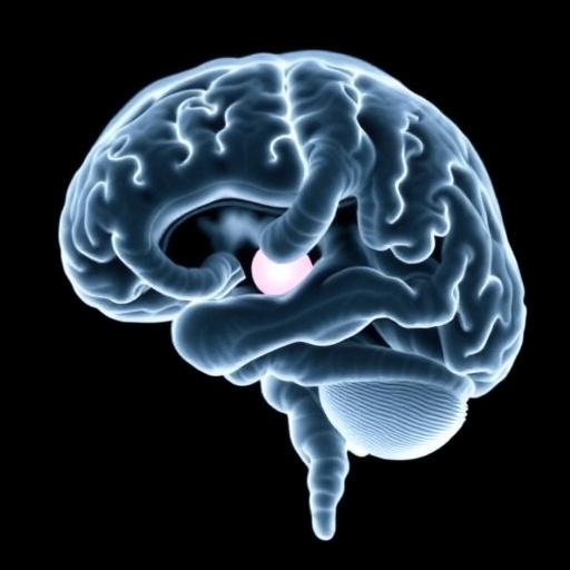 Optimal Echocardiography Timing In Neonatal Brain Injury 1782137741