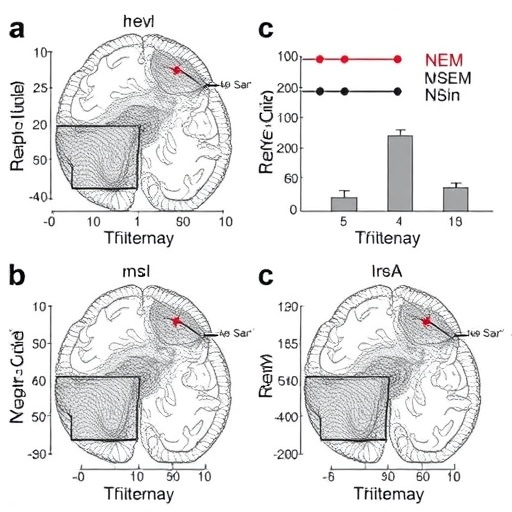 Patients With Isolated Rem Behavior Disorder Show Α Synuclein Negativity 1780685443