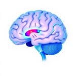 Plasma Neurofilament Light Predicts Early Parkinsons Motor Issues 1780945538