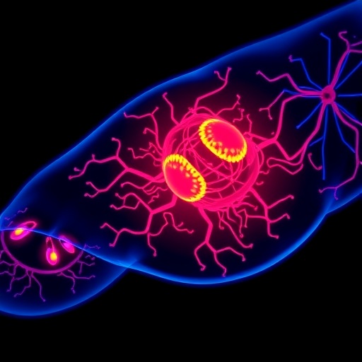 Precision Ablation Targets Metastatic Cancer Via Rewired Signaling 1781314526