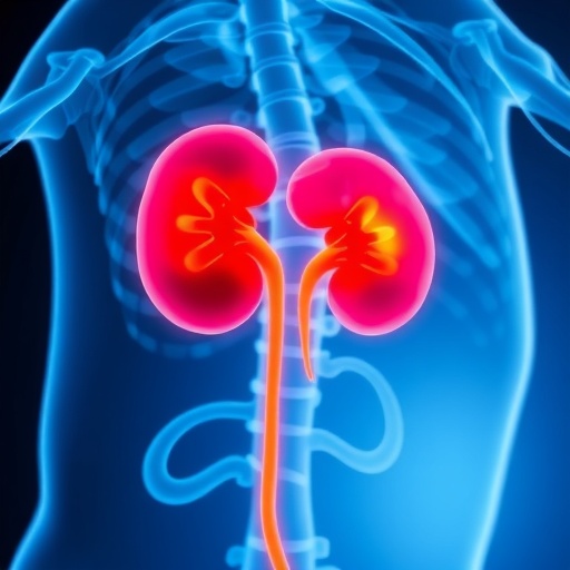 Predicting Severe Sepsis Kidney Injury In Elderly Icu 1782304783