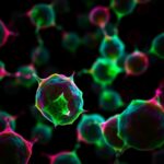 Pregabalin Boosts Pancreatic Cancer Cells Not Tumors 1782152253