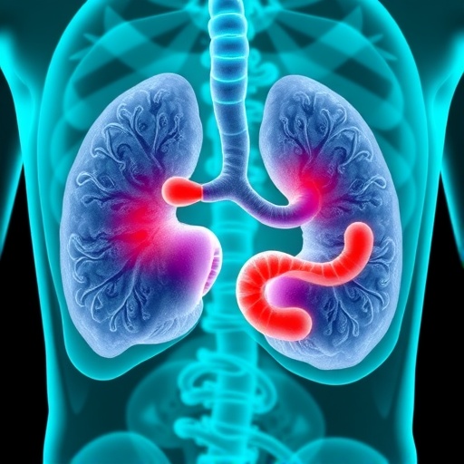 Quinolinic Acid Boosts Prostate Cancer Therapy Response 1781617667