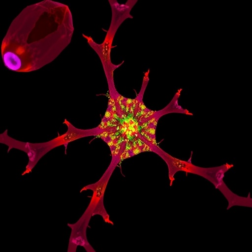 Raman Microscopy Unveiled The Revolutionary Molecular Imaging Technique Transforming Biological Research 1782141760