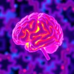 Resolvin D2 Marker For Cognitive Decline In Elderly 1781224590