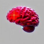 Right Amygdala Ablation Eases Ptsd Symptoms Bias 1782177090