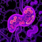 Scientists Decode Pancreatic Stratification Paving The Way For Improved Cancer Detection And Treatment 1780993605