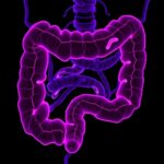 Scientists Identify Key Protein Driving Chemotherapy Resistance In Colorectal Cancer 1780980024