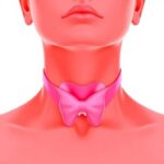 Study Finds Women8217S Thyroid Cancer Risk May Be Tied To Reproductive Lifespan And Hormone Therapy 1781382926