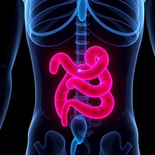 Study Reveals Moderate Quality Of Crohns Disease Instagram Reels Highlights Misinformation In Medical Advice And Calls For...
