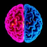 Synucleinopathy Signs And Psp Parkinsonism A Mismatch 1780938171