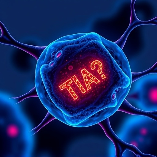 Tia 1 Boosts Fundc1 To Prevent Cell Aging 1780733674