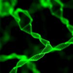 Ttago Dctp Enables One Step Microrna Detection 1782159293