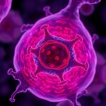 Tumor T Cells And Dendritic Cells Unite In Melanoma Immunotherapy 1781208741