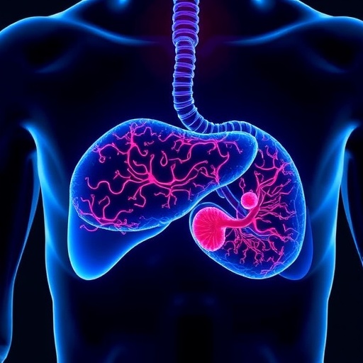 Ucla Researchers Secure 3.2 Million Nih Grant To Create Ai Driven Personalized Liver Cancer Therapy 1780425990
