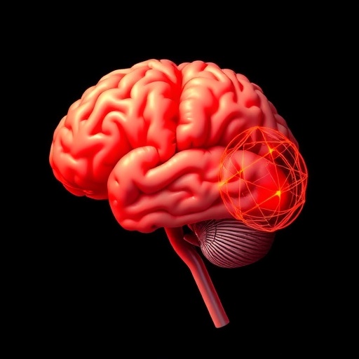 Usc Study Illuminates Brain Network Alterations Associated With Bipolar Disorder Severity And Treatment Response 1781013942