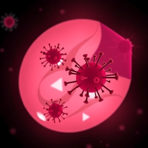 University Of Minnesota Team Secures Nih Grant To Investigate Congenital Cmv Transmission In Pregnancy 1782237749