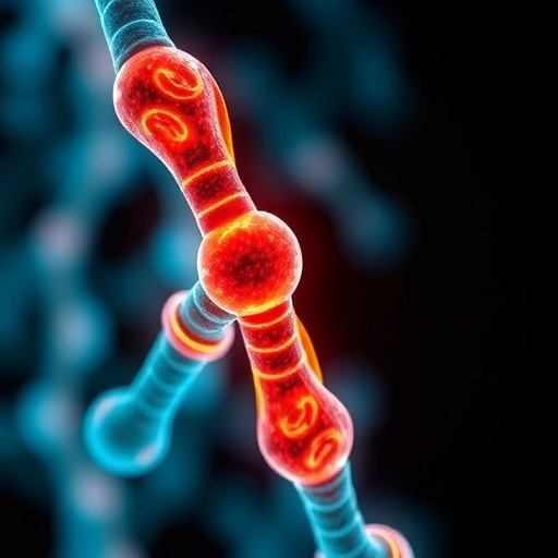 University Of Pittsburgh Scientists Uncover Surprising Chromosome Interaction Driving Aggressive Cancers 1780505007