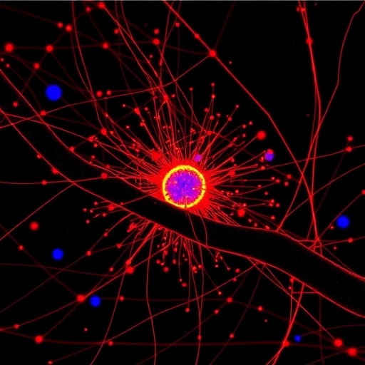 Unraveling Random Cellular Fluctuations With Label Free Interferometric Scattering Microscopy 1782192442